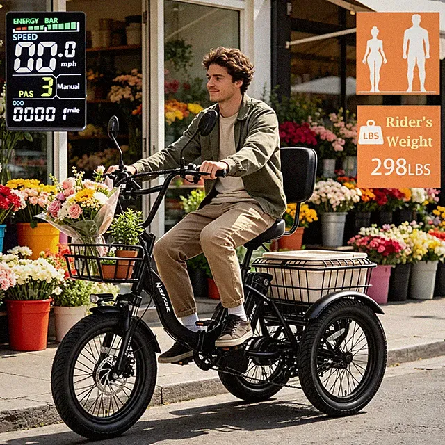 Narrak Fat Tire Folding Electric Trike Peak electric trike adult fat tire 1100W